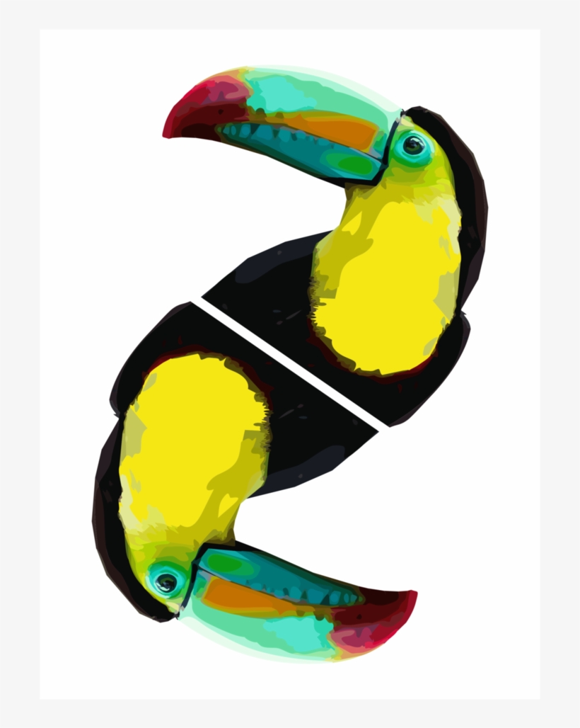 Graphic Design For Print By Gdakaska On - Toucan Graphic, transparent png