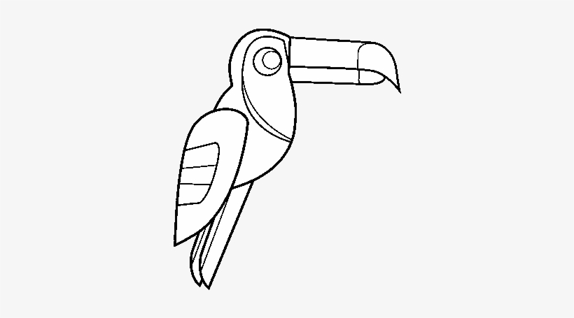 Dibujo De Pájaro Tucán Para Colorear - Drawing, transparent png