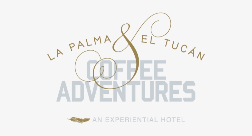 La Palma & El Tucan Coffee Adventures Is A Coffee Experience - Desert Travel Magazine, transparent png