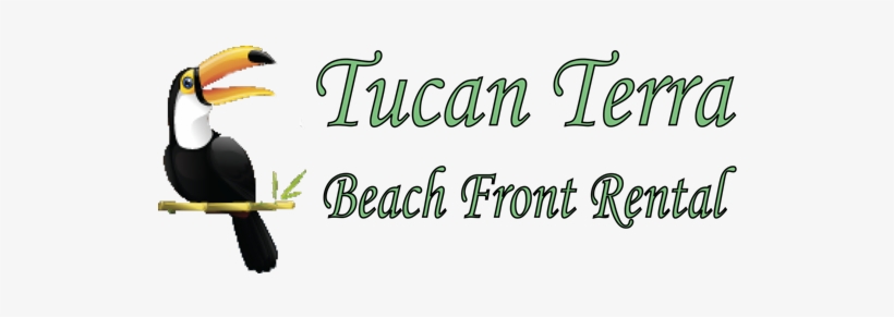 Tucan Terra, transparent png