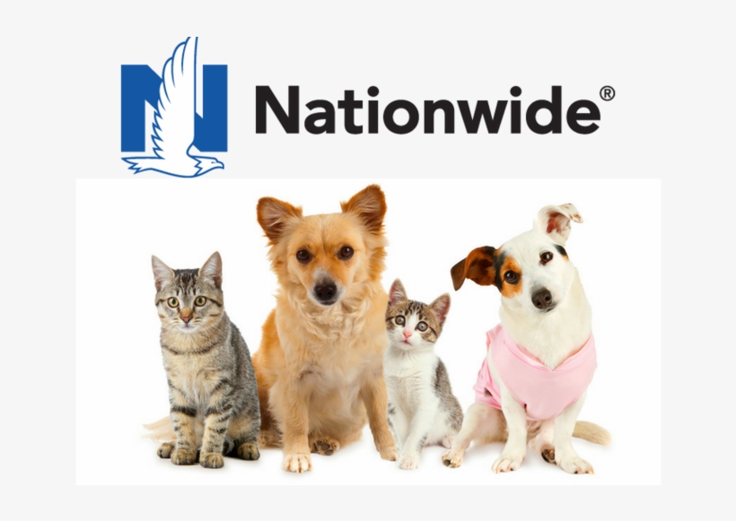 Nationwide Pet Insurance Review - Etna Products Co. Inc. Small Portable Pet Playpen With, transparent png
