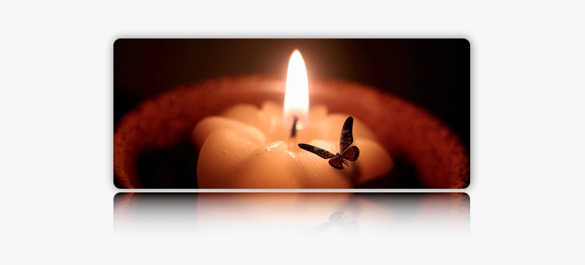 Moth To A Flame, transparent png