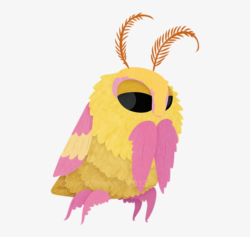 Pin By Crystal Woods On Simply Beautiful - Rosy Maple Moth Art, transparent png