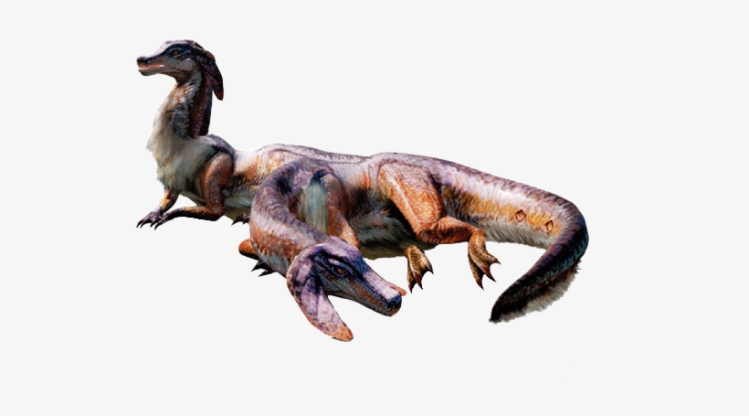 Jaggi And Jaggia, transparent png