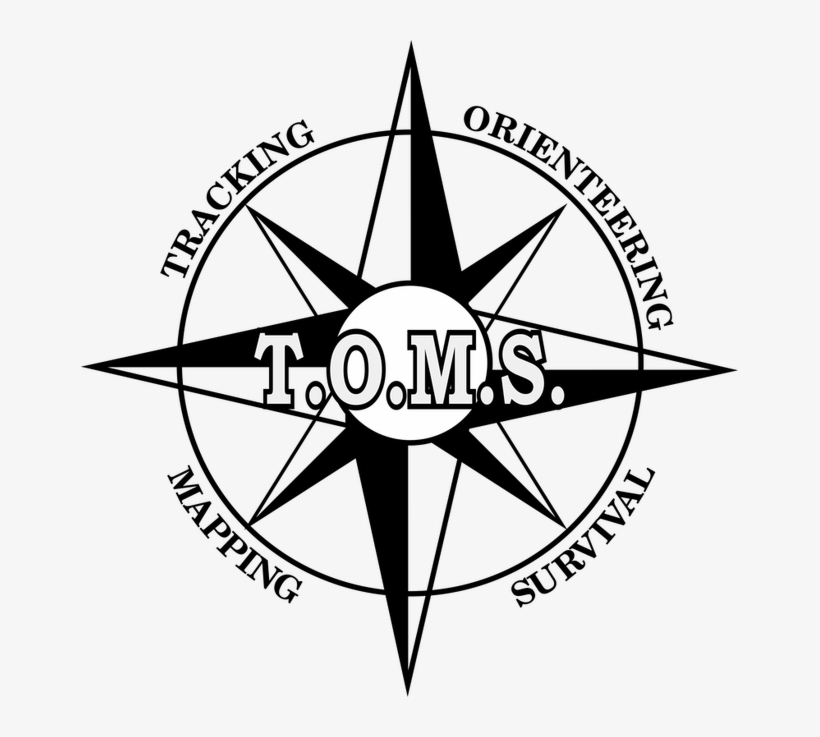 Toms Shoes, transparent png