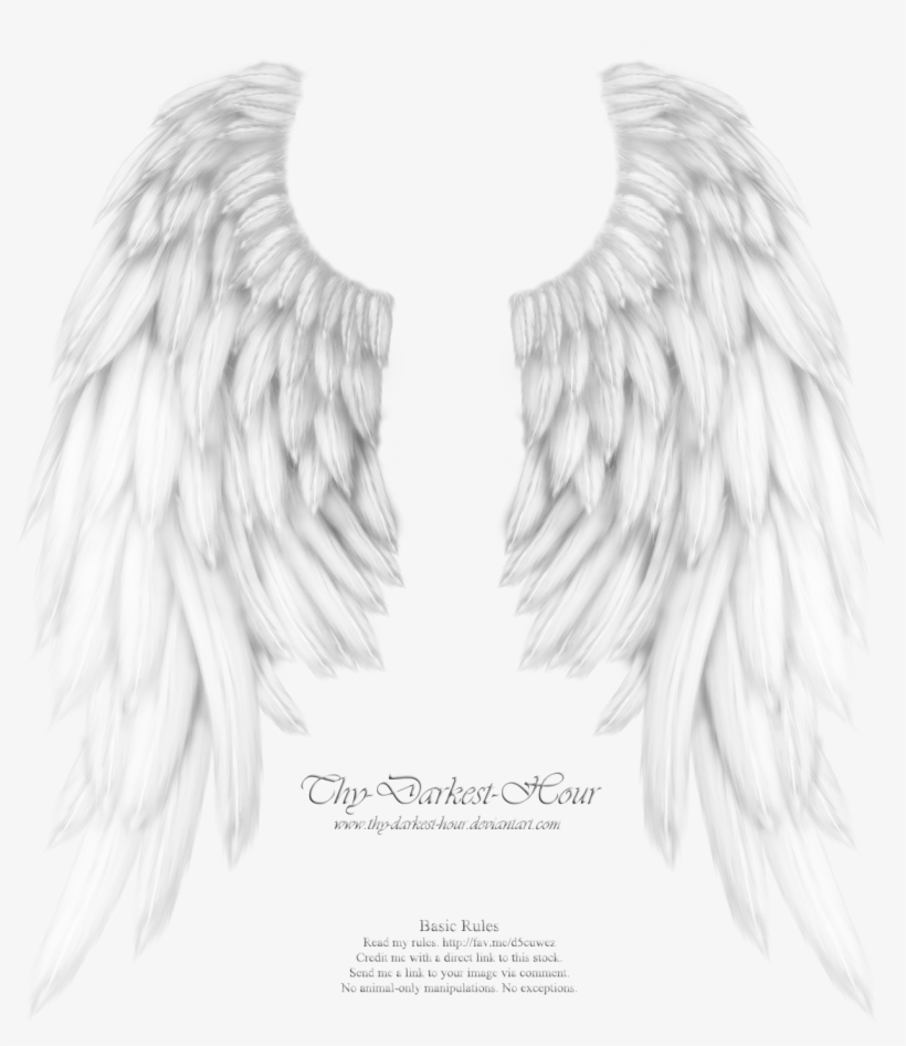Realistic Angel Wings - My Boyfriend Is My Guardian Angel He Watches Over My, transparent png
