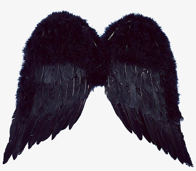 Realistic Angel Wings Png For Kids - Png Edit Angel Wings, transparent png