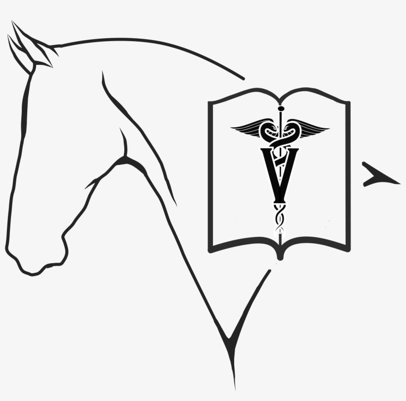 Hvb Logo Png - Sketch, transparent png