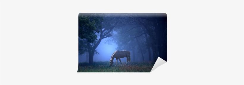 Only The Innocent - Audiobook, transparent png