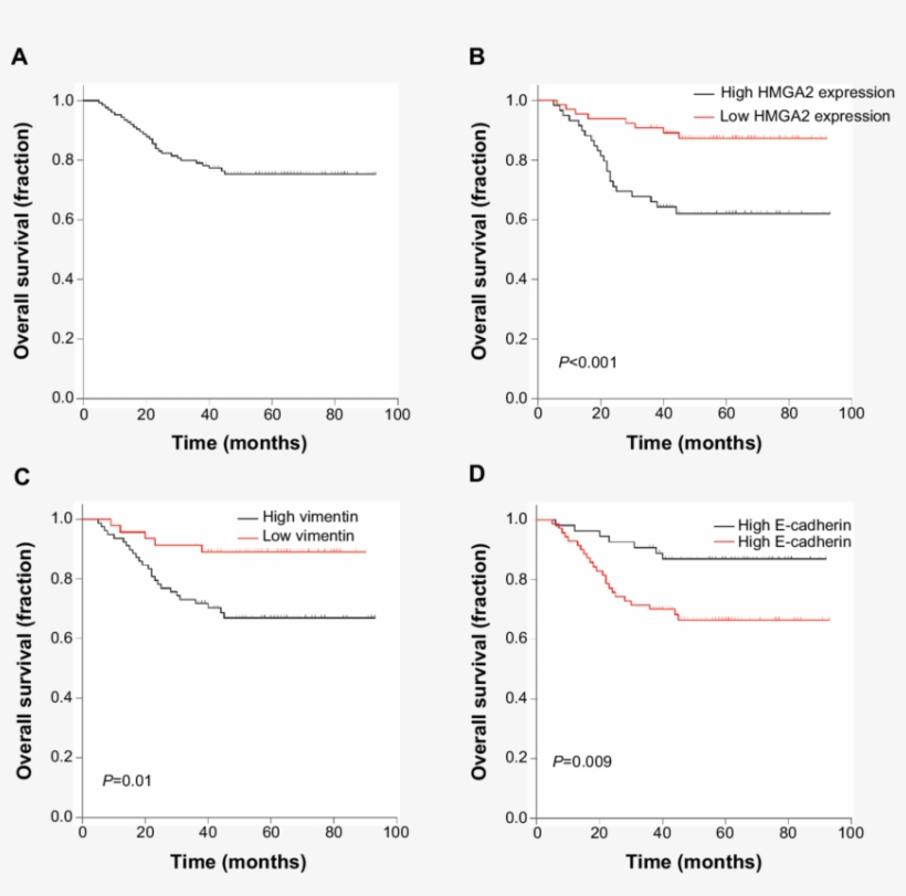 A) Kaplan Meier Survival Curves Of Overall Survival - Common Fig, transparent png