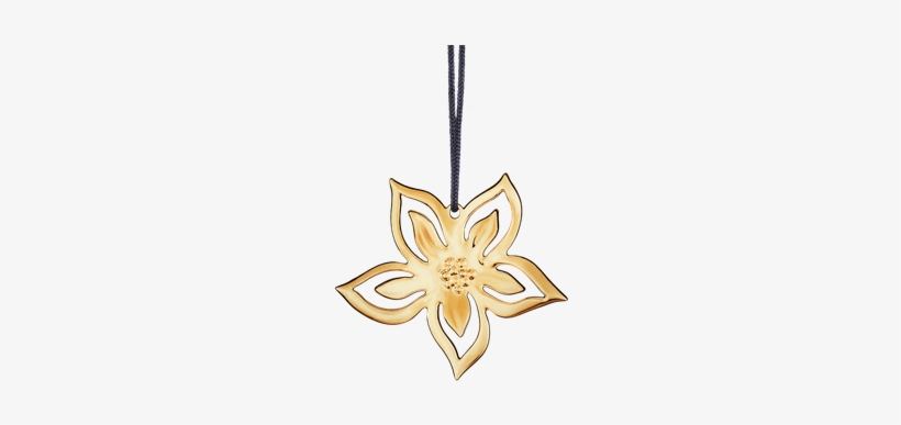 Christmas Rose H6 5 Gold Plated Karen Blixen - Christmas Rose, Goldplated, transparent png