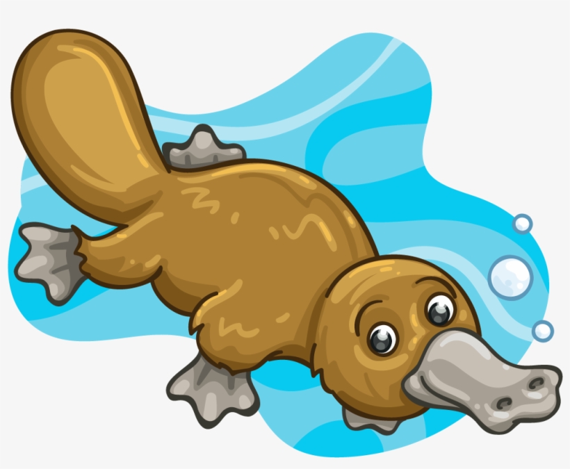 Patty Platypus - Platypus, transparent png