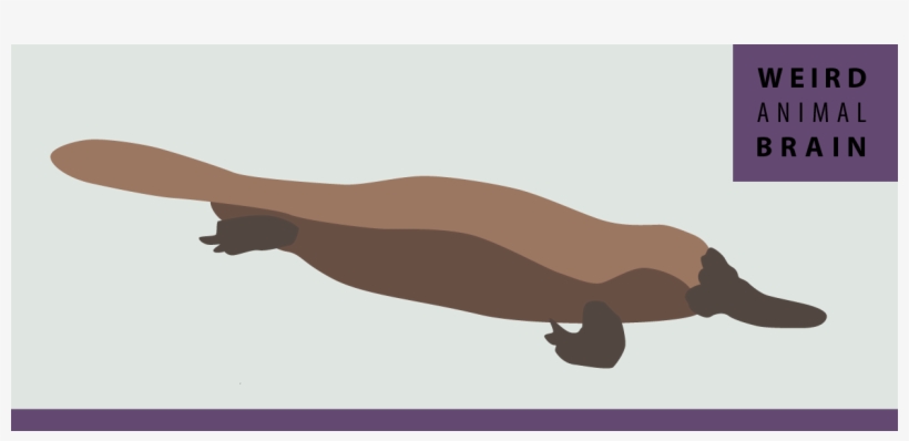 Illustration, transparent png