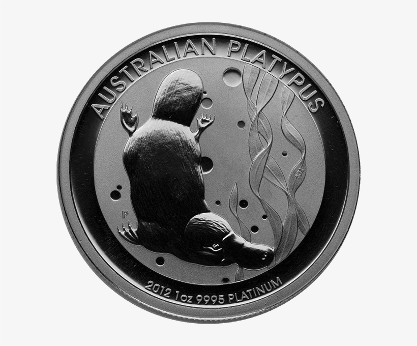Australian Platinum Platypus - Silver, transparent png