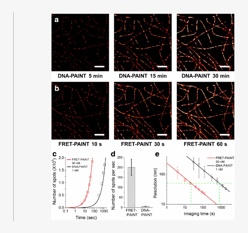 Comparison Of The Imaging Speeds Of Dna Paint And Fret - Diagram, transparent png