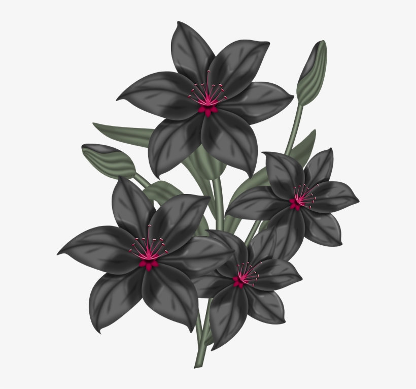 0 956cd 301c3cbe Orig - Flower Designs In Chart, transparent png
