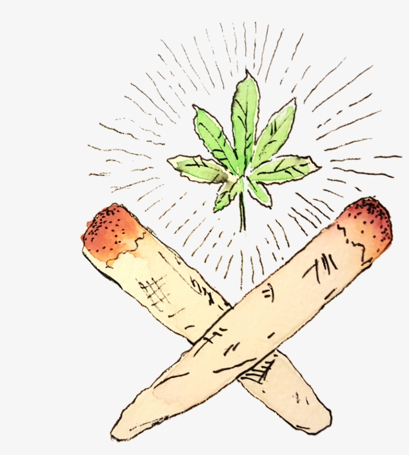 An Orlando Writer Gets Baked At A - Orlando, transparent png