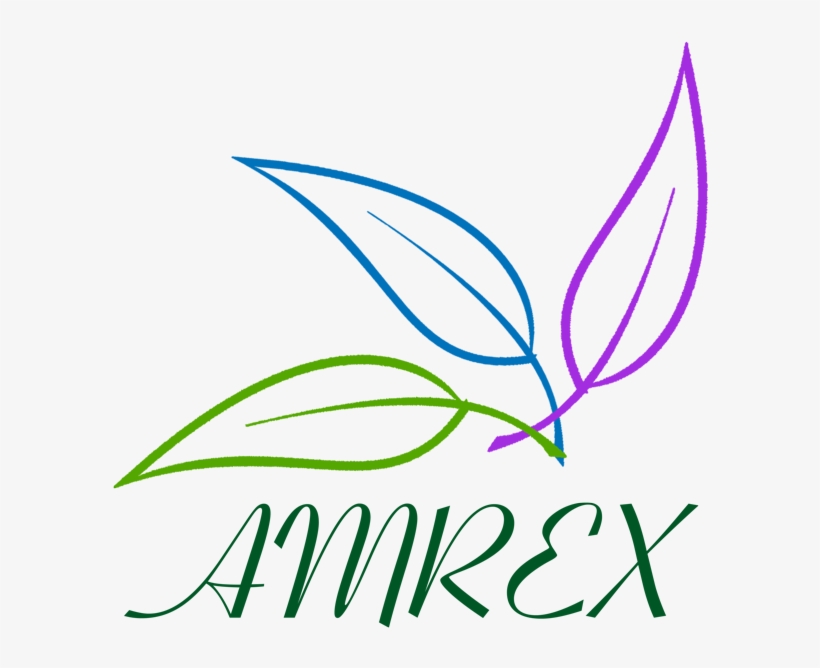 Summary - American Growth Fund Series Two Class E, transparent png