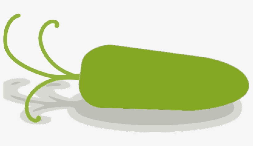 Mb Image/png - Baby Carrot, transparent png