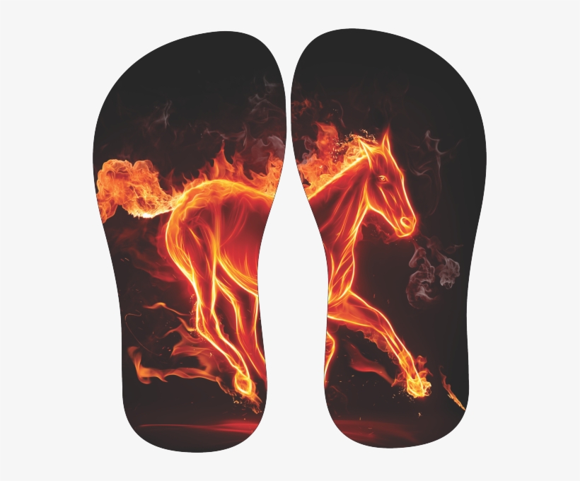 Chinelo Tipo Havaiana Notas Musicais - Cool 3d Animals Background, transparent png