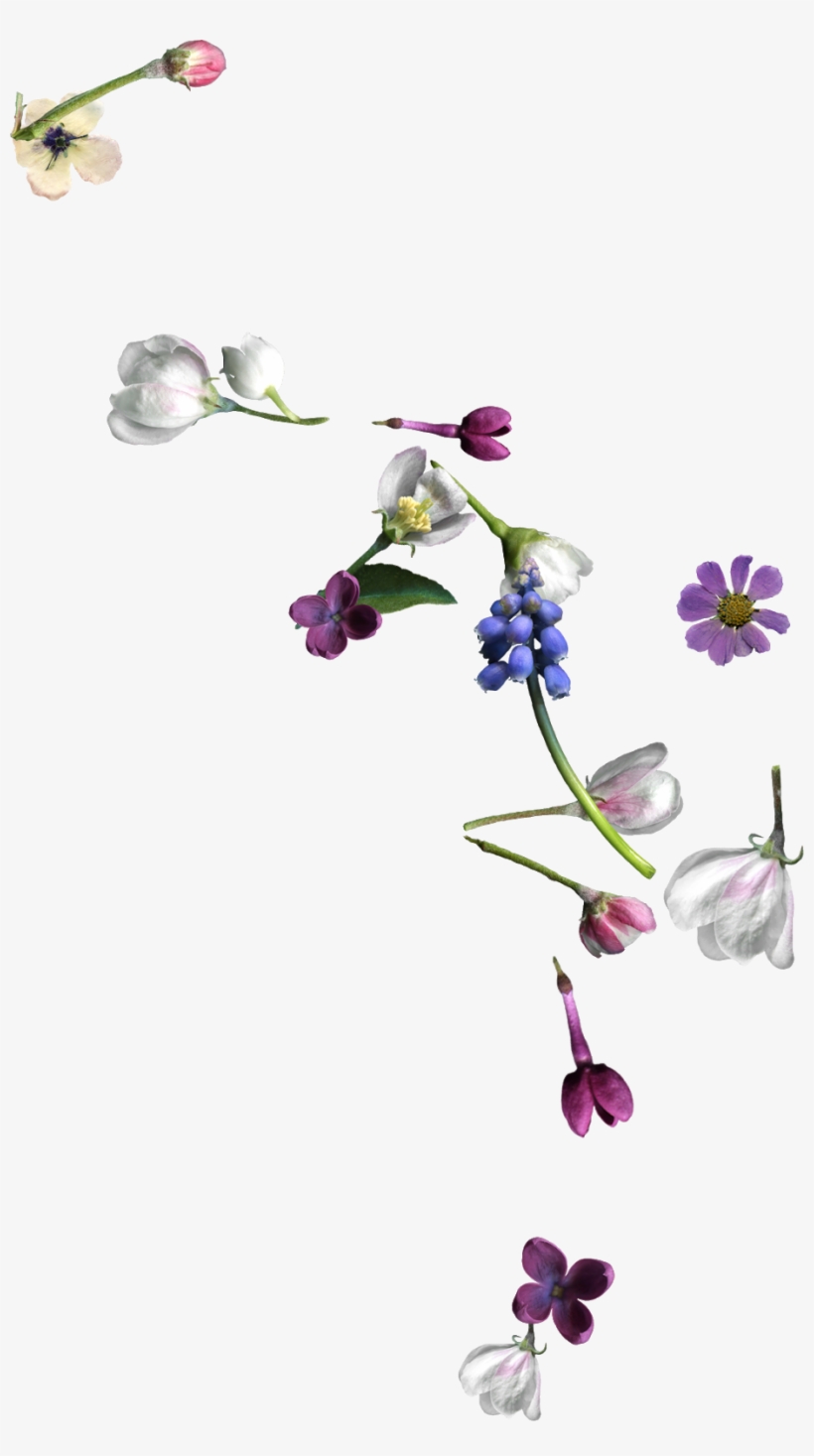 I Made A Few Things This Week, Including A Couple Of - Artificial Flower, transparent png