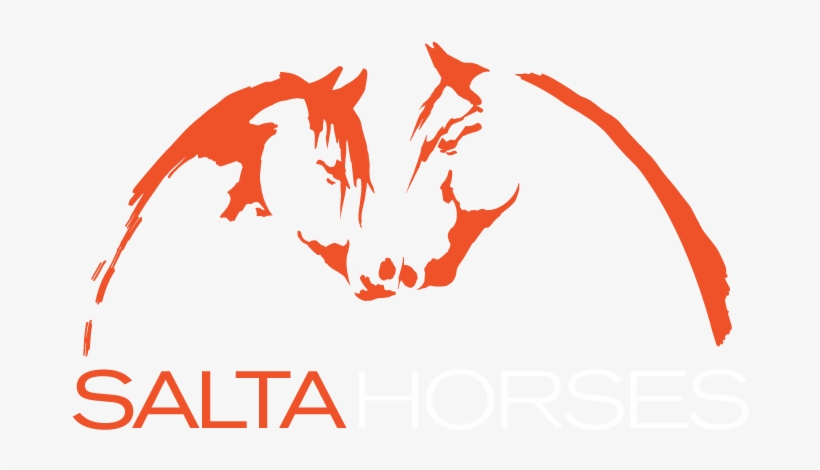 Salta Horses - Superstation Wgn, transparent png