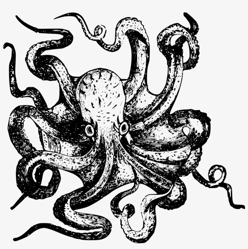 Human Brain Project On Twitter - Octopus Tentacle Png Black, transparent png