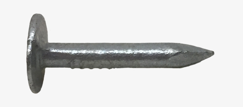 Galvanised Clout Extra Large Head Nails - Saw Chain, transparent png
