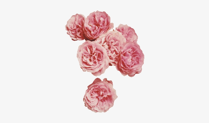 64 Images About Flower Png On We Heart It - Music Band Sleeping With Sirens Hard Plastic Back Protective, transparent png