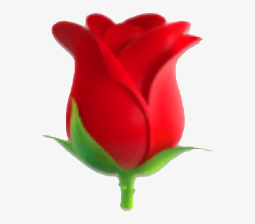 Emoji Rose Flower Redflower Red Redrose Rose Symbol Unicode 720x775