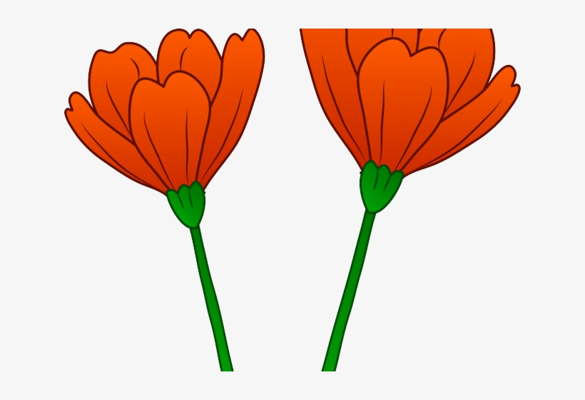 Share - Poppy Clipart Png, transparent png