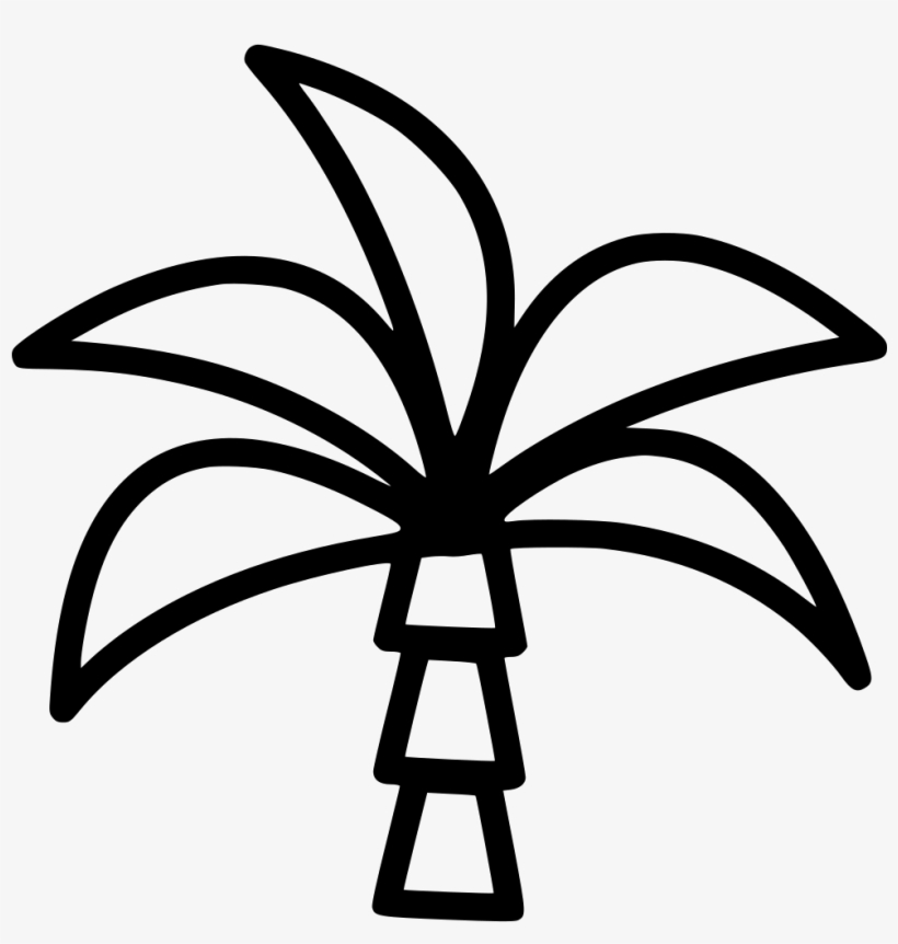 Palm Tree - - Icon, transparent png