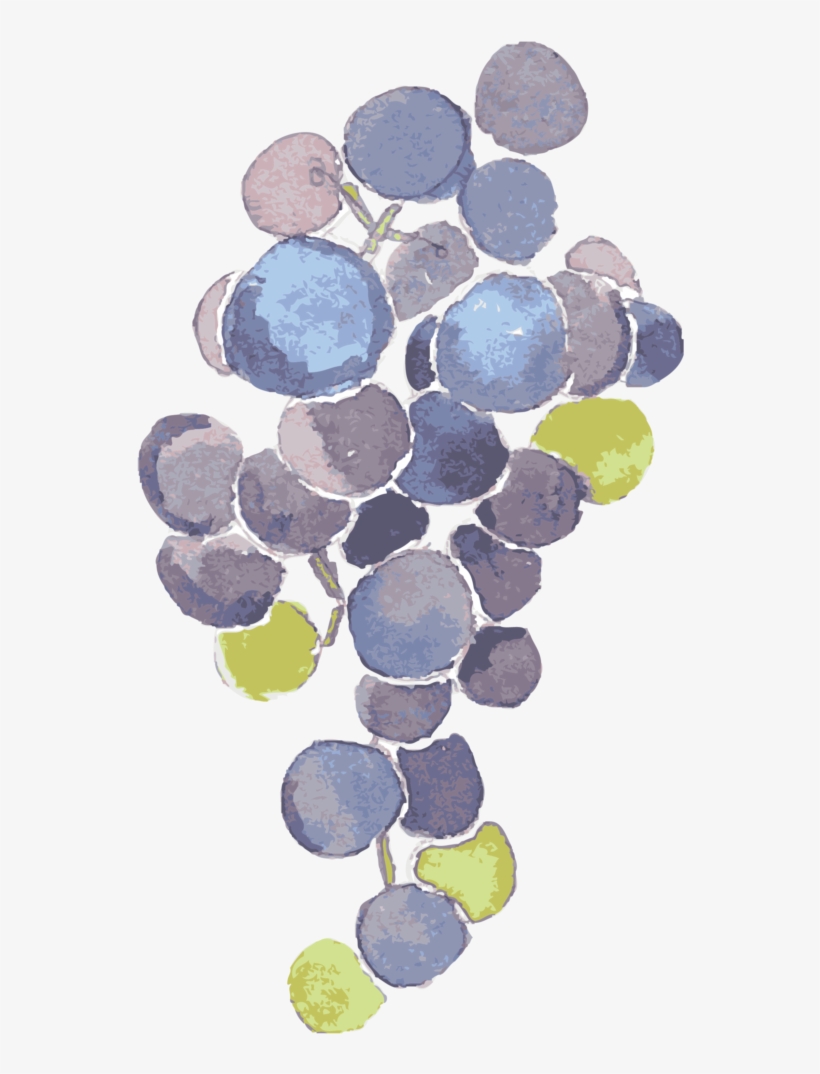 Grape, transparent png