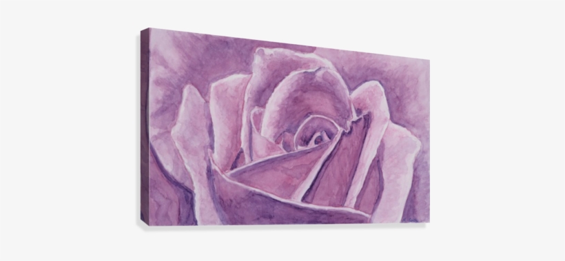 Rose Closeup Canvas Print - Art, transparent png