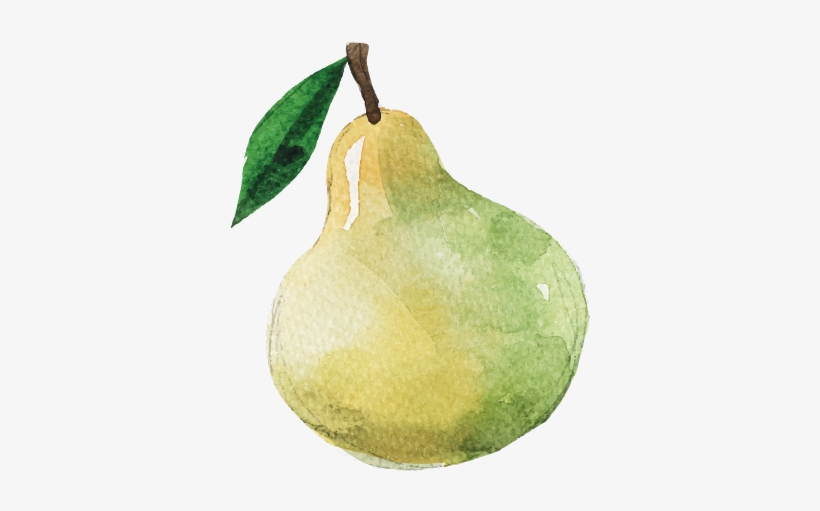 Pear, transparent png