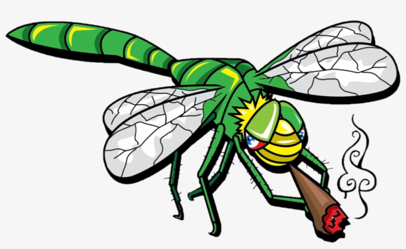 Jb Dragonfly Transparent - Blunt, transparent png