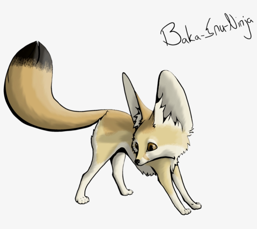 Fennec Fox Transparent Png - Easy Fennec Fox Drawings, transparent png