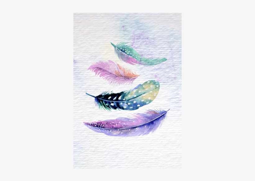 Feather Set - Girly Designs In Notebook, transparent png