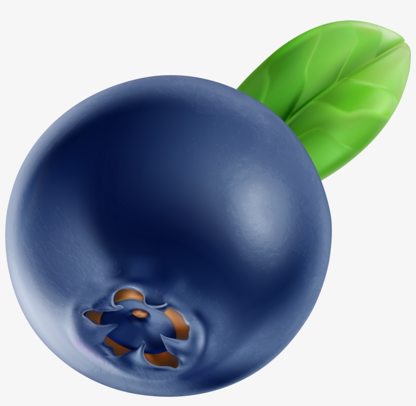 Blueberry Clipart, transparent png