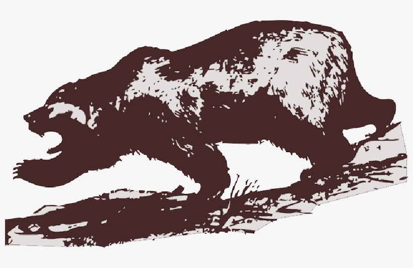 Mb Image/png - Grizzly Bear Clip Art, transparent png