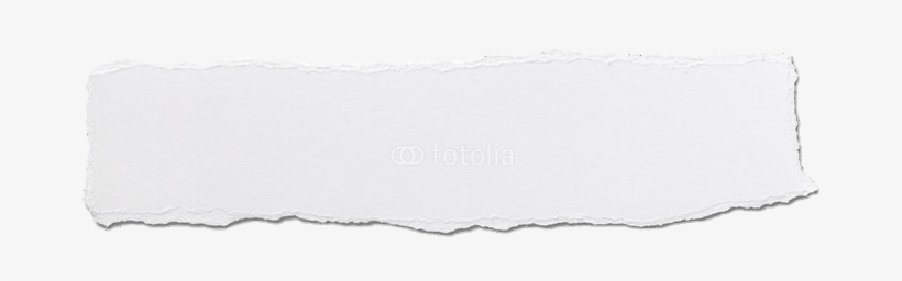 Download Transparent Overlay Transparentbackground Transparent Punchout