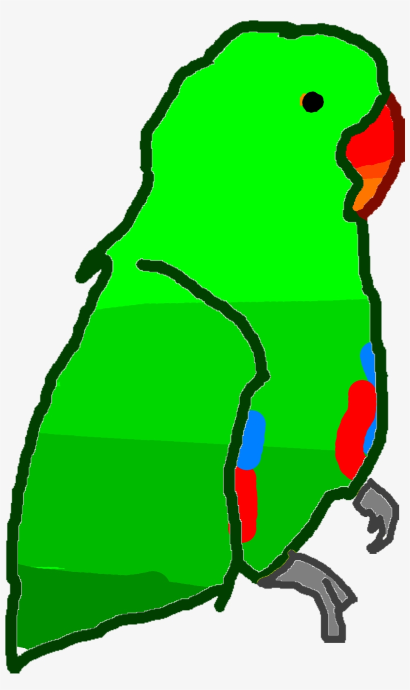 Ugly Parrot - Budgie, transparent png