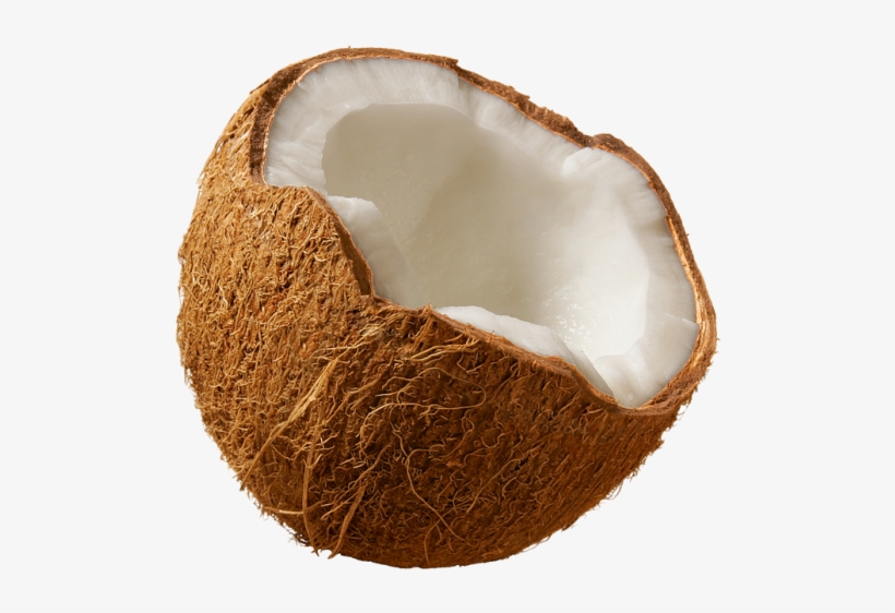 Free Png Coconut Png Images Transparent - Free Pictures Of Coconut, transparent png