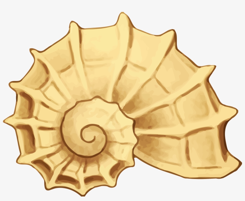 Sea Big Image Png - Sea Shells Clip Art, transparent png