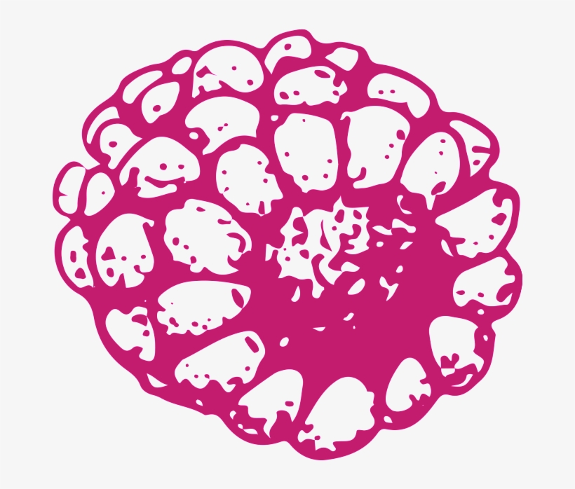 Hand Drawn Corn Transparent Vegetables - Vegetable, transparent png