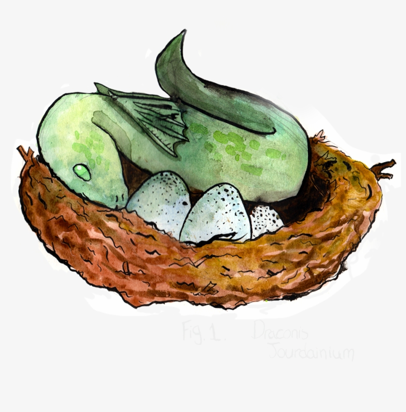 Police Have Found Eggs And These Creatures In The Possession - T-shirt, transparent png