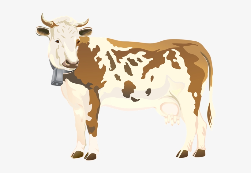 Bull Cattle Clip Art - Clip Art Cow Png, transparent png