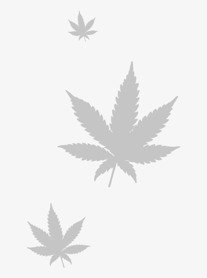 Marijuana Leaf Png - Cannabis, transparent png