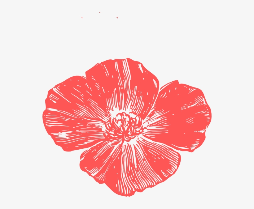 Petal Clipart Peach Flower - California Poppy Art, transparent png