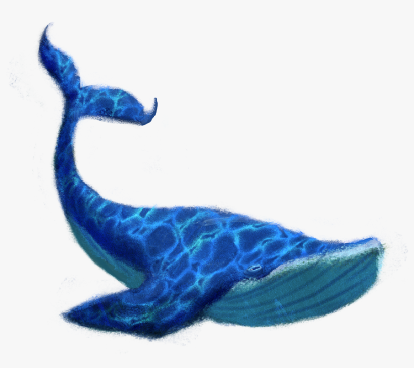Blue Whale Png Transparent Image - Blue Whale Png, transparent png